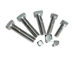 INOX 304 Square Head Bolts INOX 304 Square Head Bolts